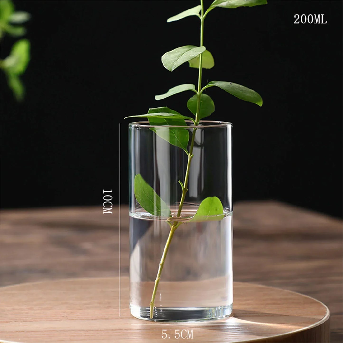 Glass Hydroponic Desktop Planter Vase - 5.5x10cm - Vase