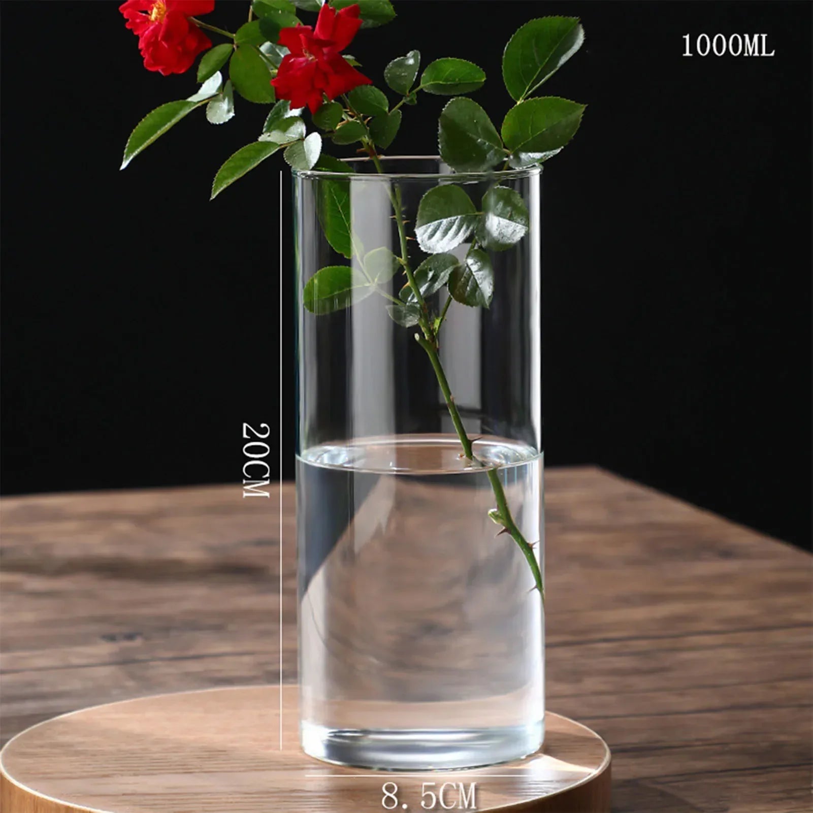 Glass Hydroponic Desktop Planter Vase - 8.5x20cm - Vase