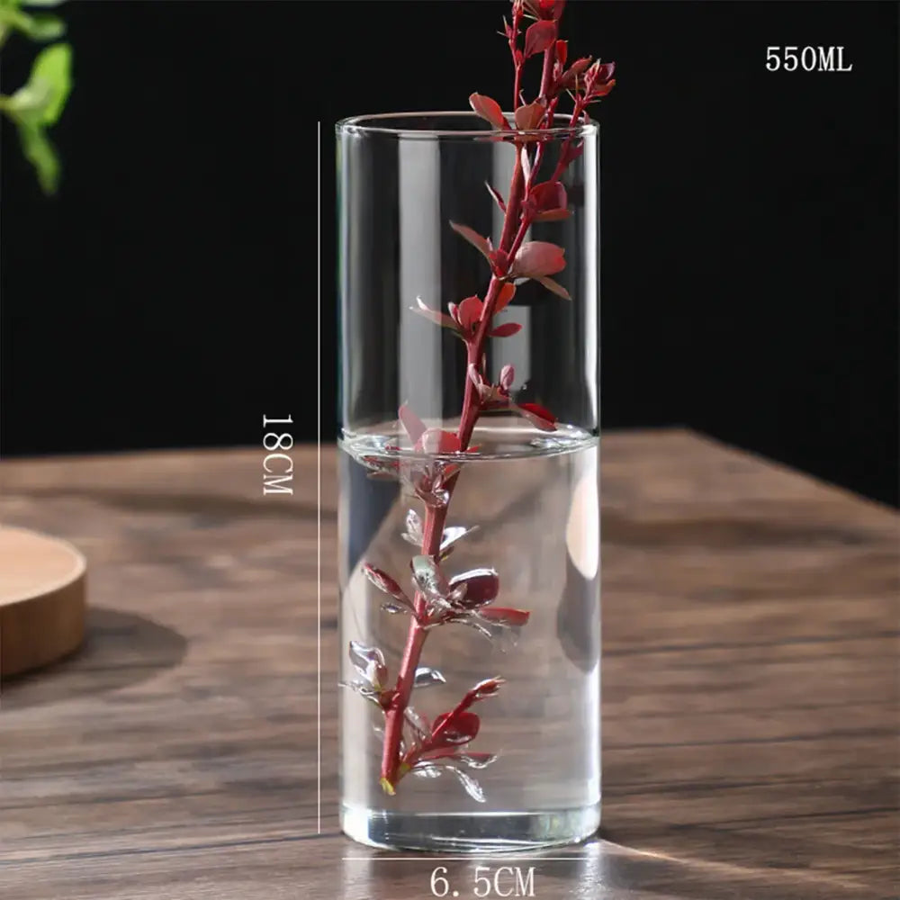 DecorBites glass vase clear cylindrical planter vase with 550ml capacity holding red-leafed stems in water