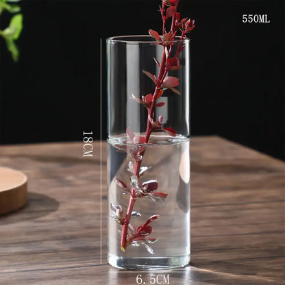 DecorBites glass vase clear cylindrical planter vase with 550ml capacity holding red-leafed stems in water