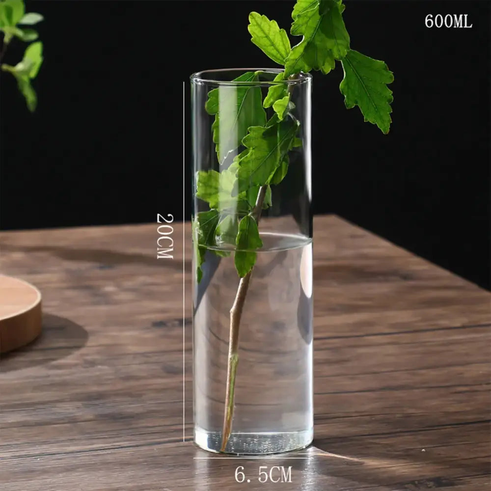 DecorBites™ glass hydroponic planter vase with clear cylindrical glass holding a green leafy branch in water