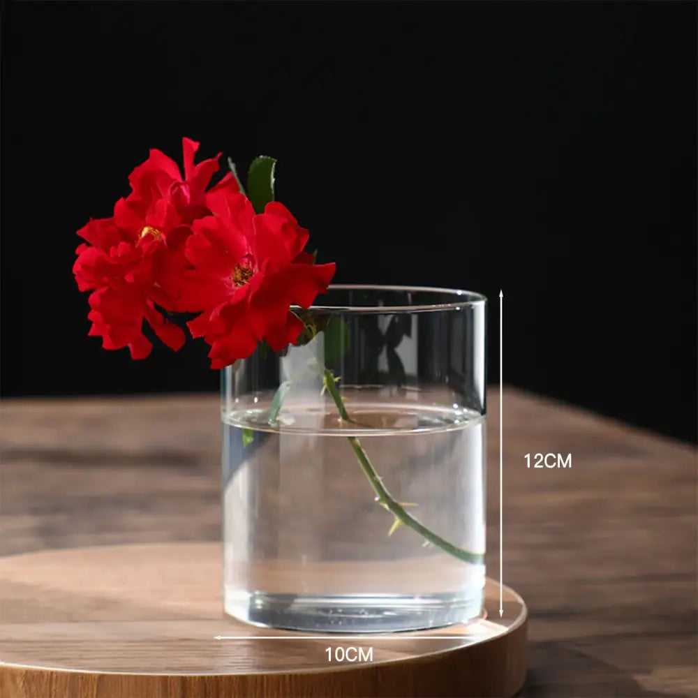 Clear glass hydroponic planter vase with cylindrical shape and rounded base holding vibrant red roses in water
