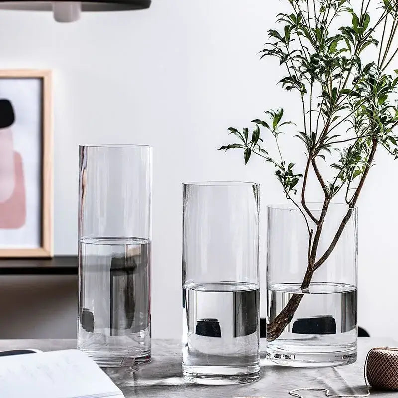 Decorbites glass hydroponic desktop planter vase with three clear glass vases of varying heights holding plants
