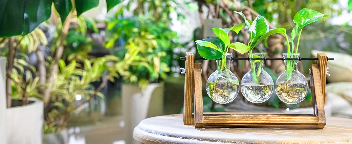 Glass Planter Propagation Station with Wooden Rack - Vase