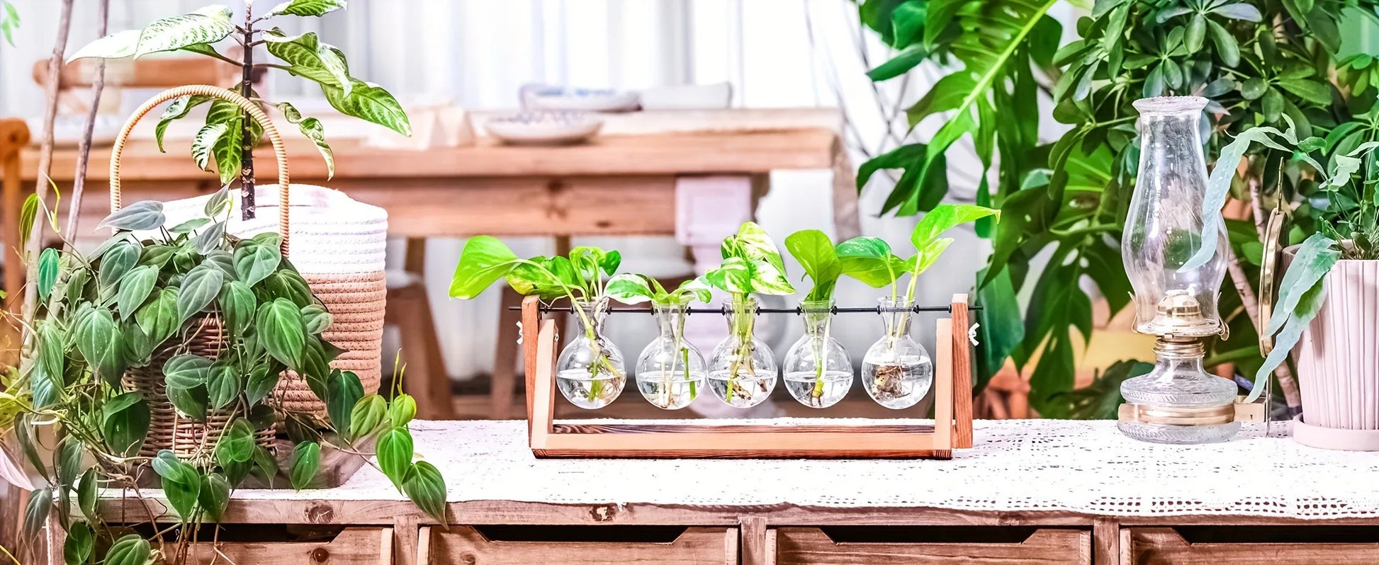 Glass Planter Propagation Station with Wooden Rack - Vase