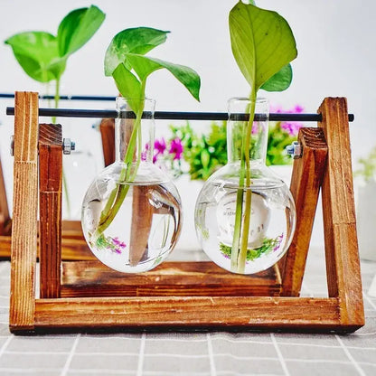 DecorBites™ glass planter propagation station with clear round-neck vases holding green plants on a rustic wooden rack