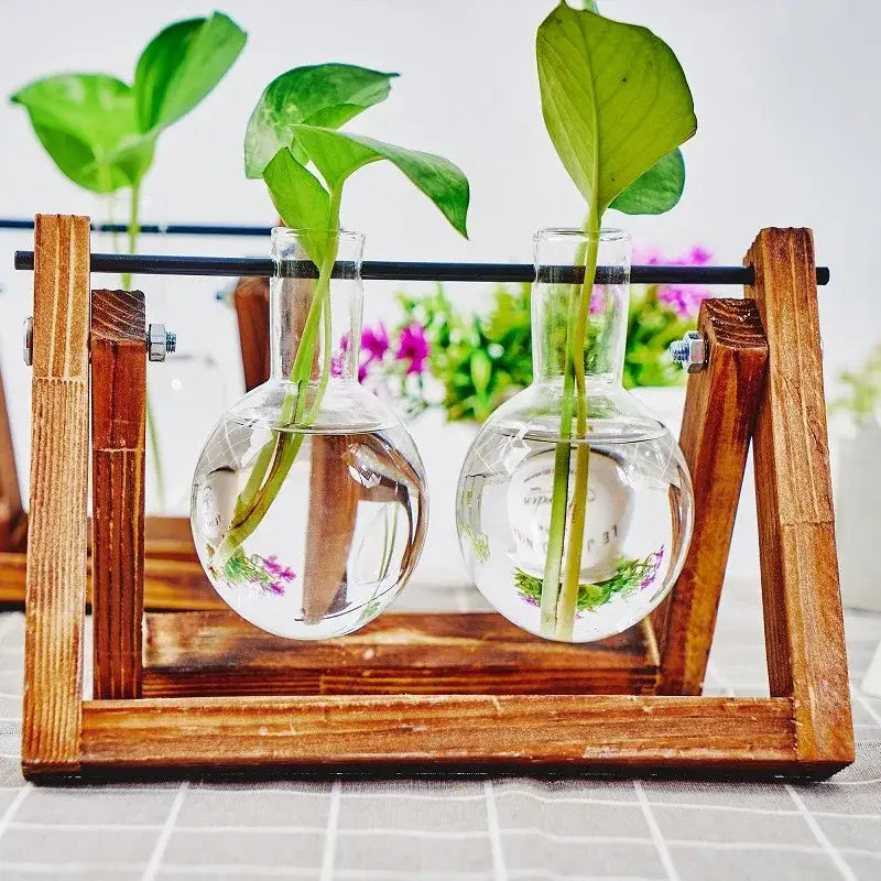 DecorBites™ glass planter propagation station with clear round-neck vases holding green plants on a rustic wooden rack