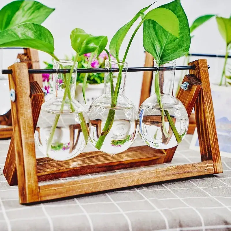 DecorBites™ glass planter propagation station with wooden rack holding three clear glass flask vases with green plants