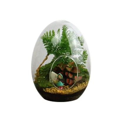 Glass Succulent Egg-shaped Terrarium - Vase