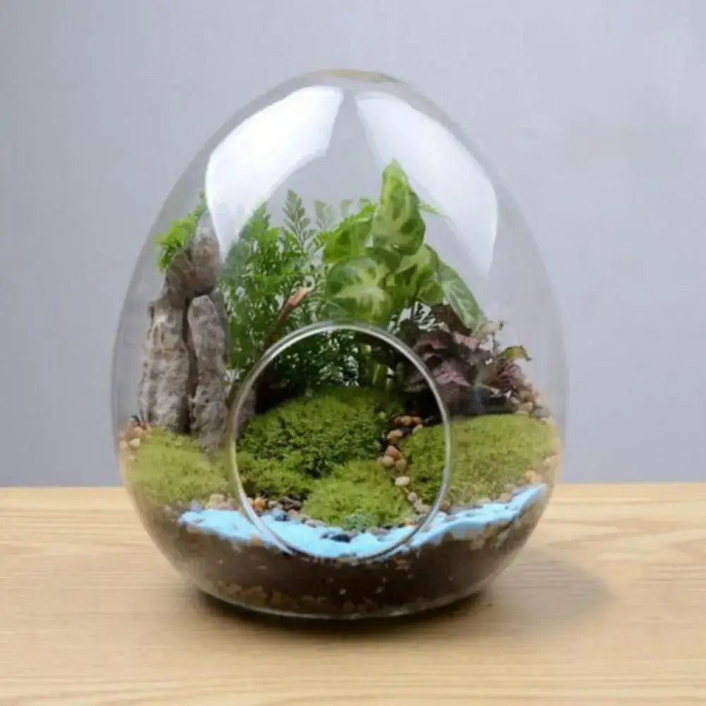Decorbites™ glass succulent egg-shaped terrarium with high quality glass containing green moss and leafy plants
