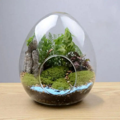 Decorbites™ glass succulent egg-shaped terrarium with high quality glass containing green moss and leafy plants