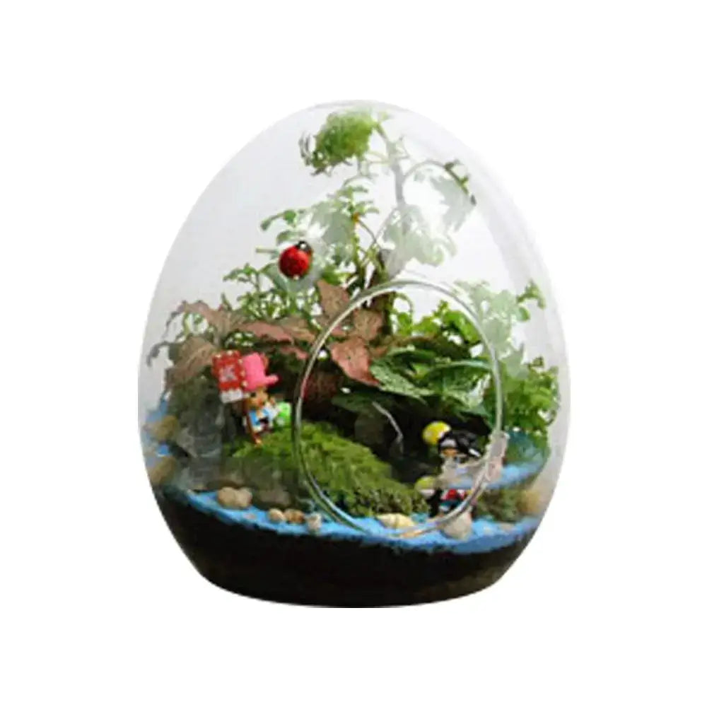 Decorbites™ glass succulent egg-shaped terrarium with high quality glass featuring miniature greenery and rocks