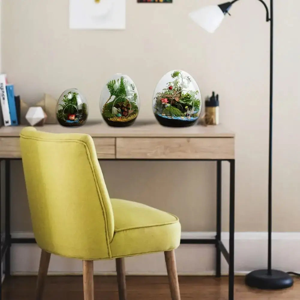 Three high quality glass egg-shaped terrariums by decorbites containing miniature green plant ecosystems