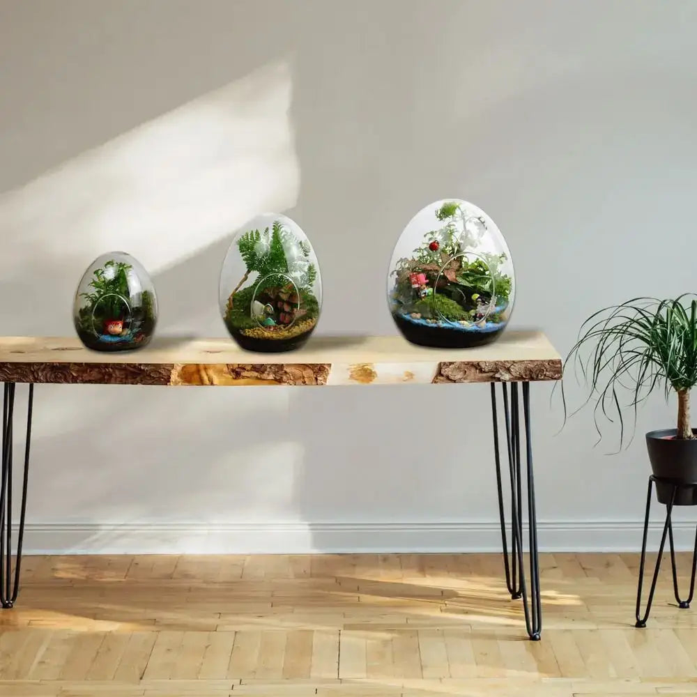 Three high quality glass egg-shaped terrariums from DecorBites featuring miniature greenery and decorative elements