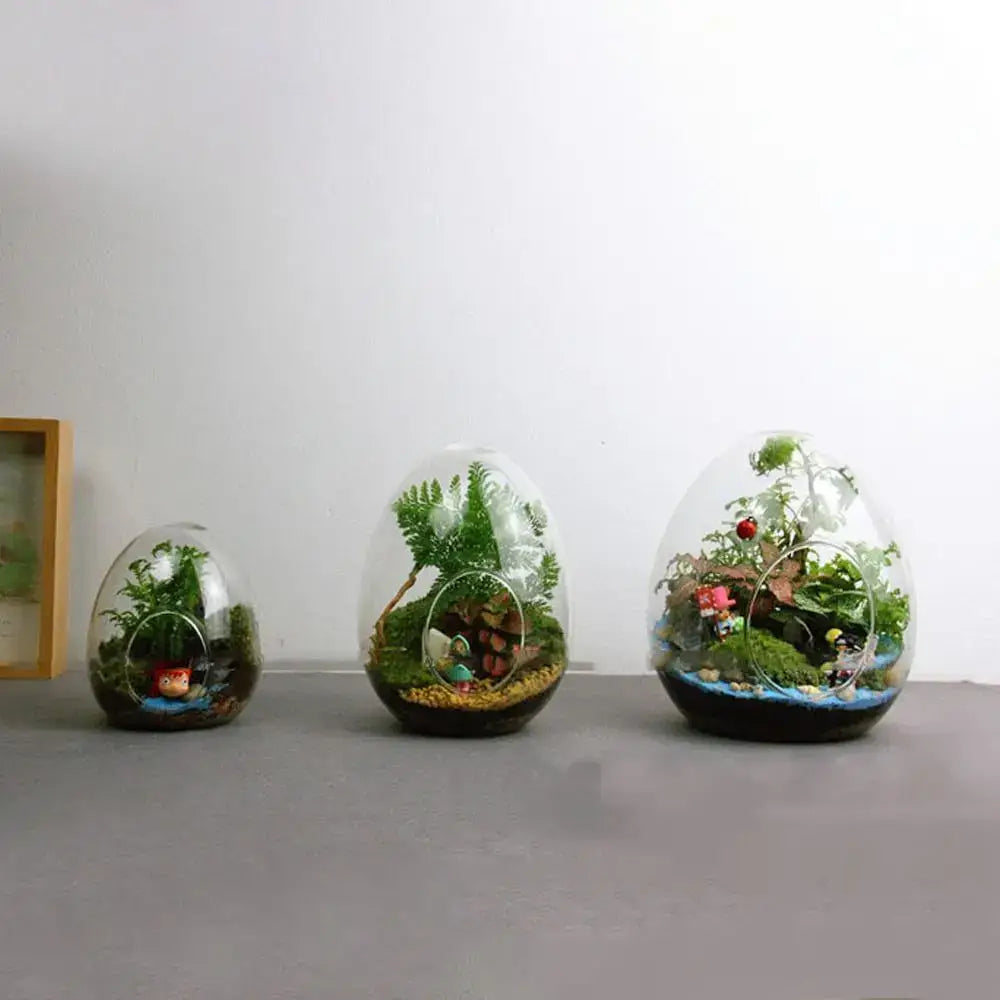 DecorBites™ high quality glass egg-shaped terrarium set with miniature green plants and decorative pebbles