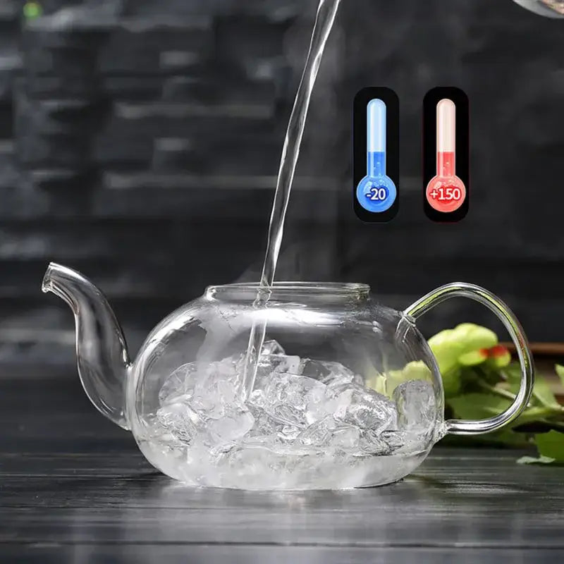 Clear glass decorbites glass teapot flower tea set with stainless steel strainer filled with ice cubes and hot water pouring in