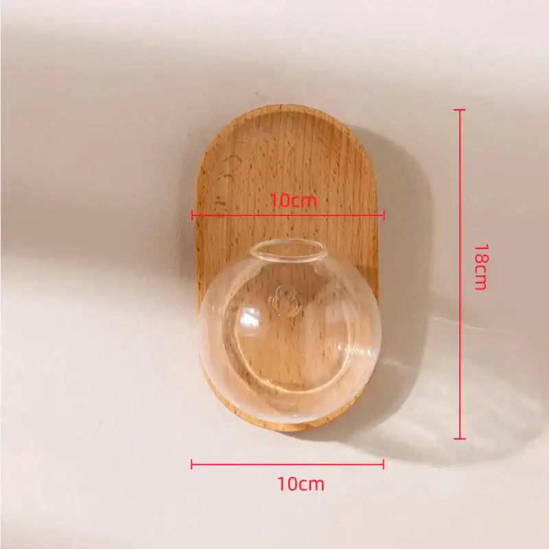Clear glass spherical decorbites glass vase flowerpot hanging on a light wood base for wall decoration and hydroponics