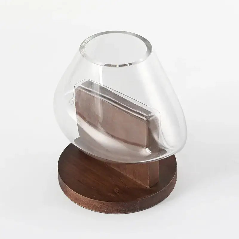 Decorbites glass vase terrarium with clear glass dome and dark brown wooden base housing a metallic object inside