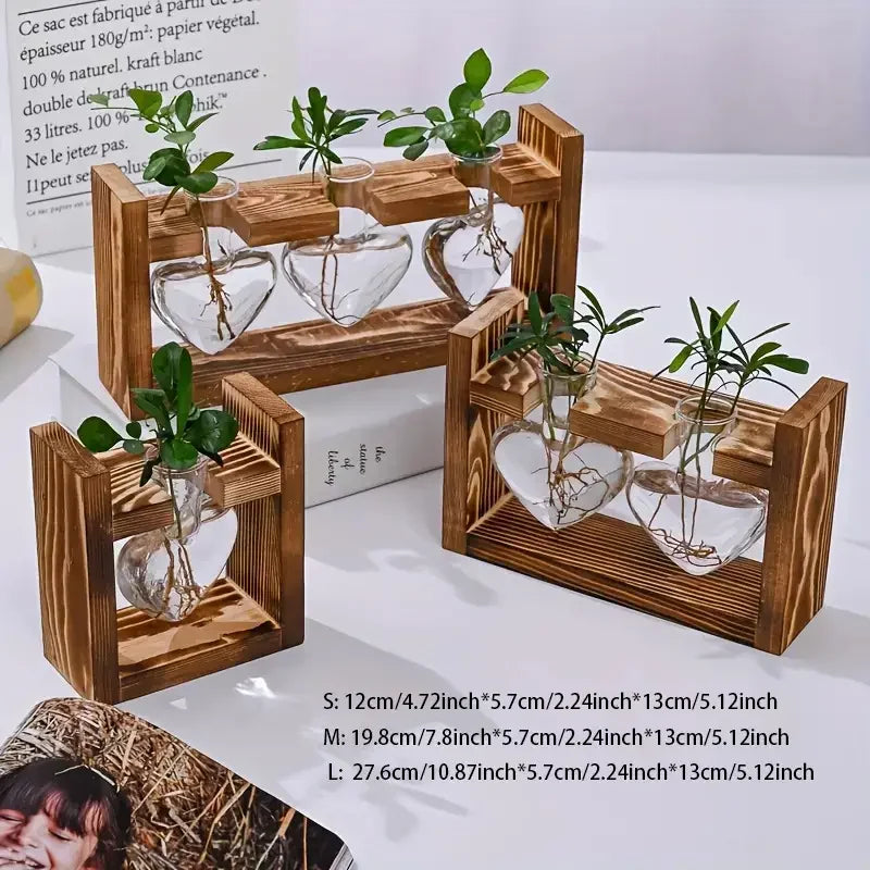 Glass Vase Terrarium with Wooden Frame - Vase