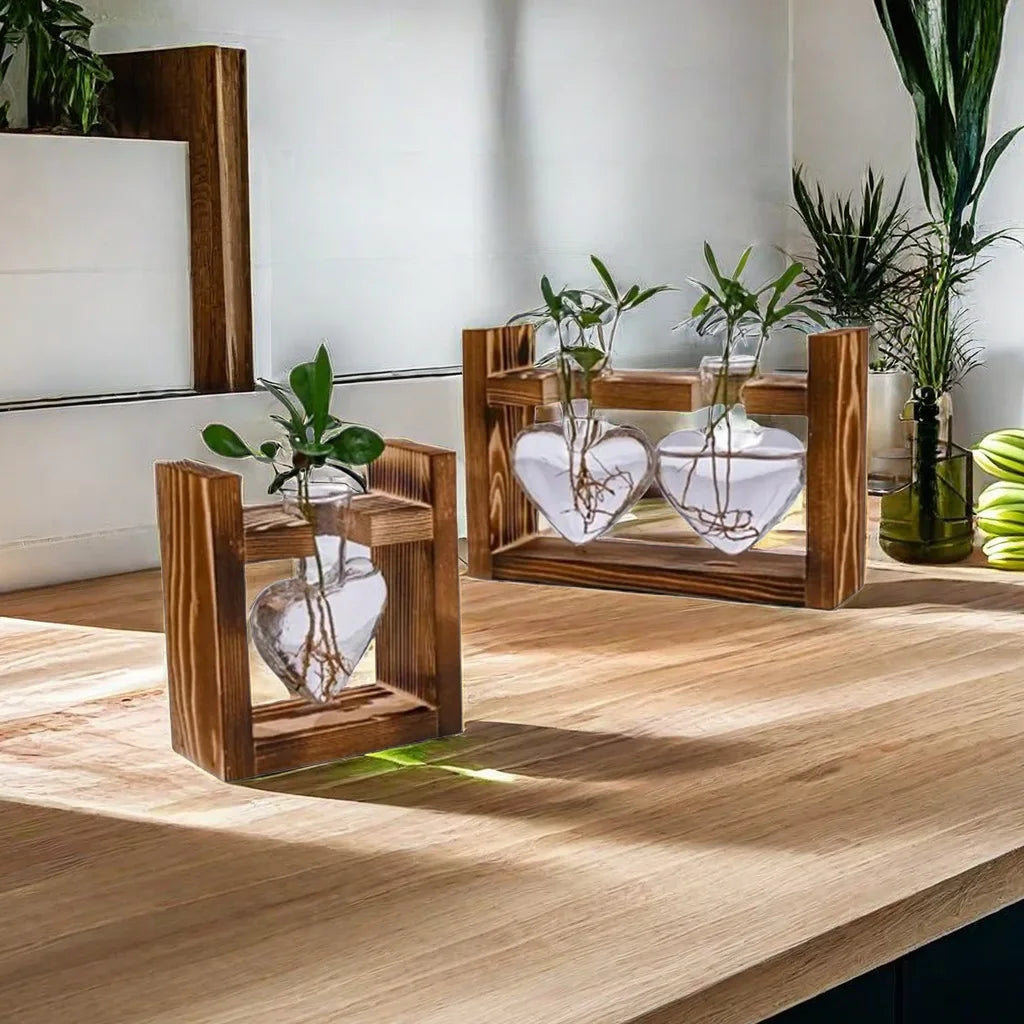 Glass Vase Terrarium with Wooden Frame - Vase