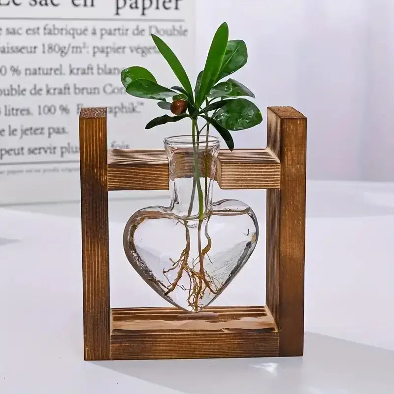 Decorbites glass vase terrarium heart hydroponic plant with green leaves and roots in rustic wooden frame
