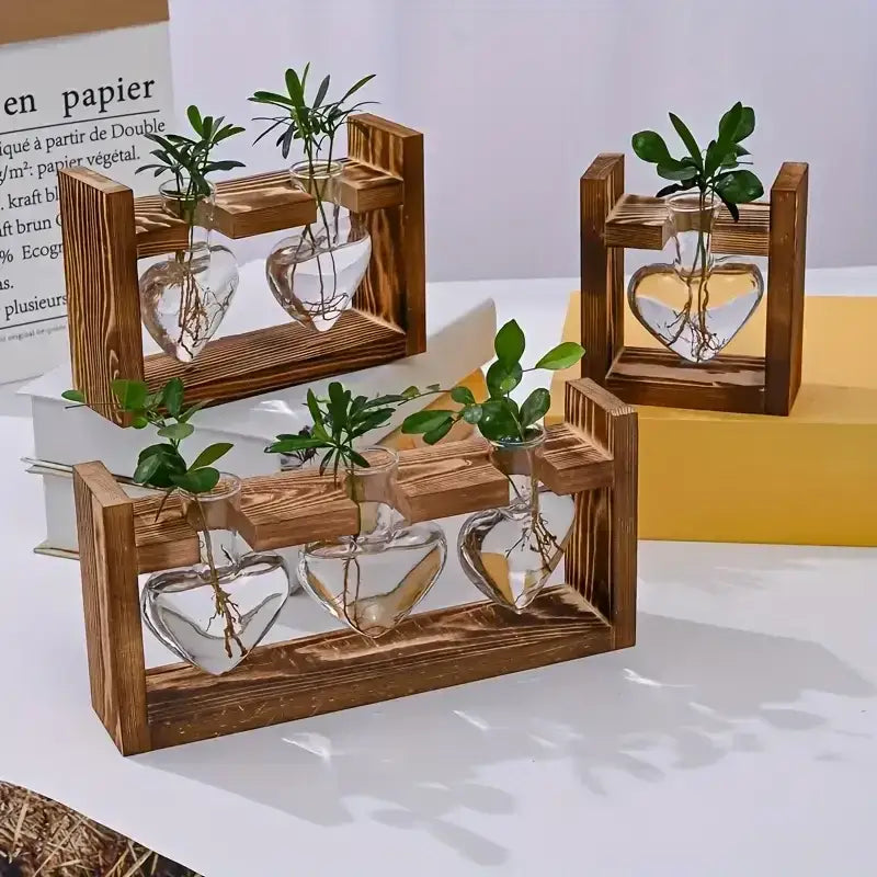 Decorbites glass vase terrarium with heart hydroponic plant and visible roots in rustic wooden frame stands