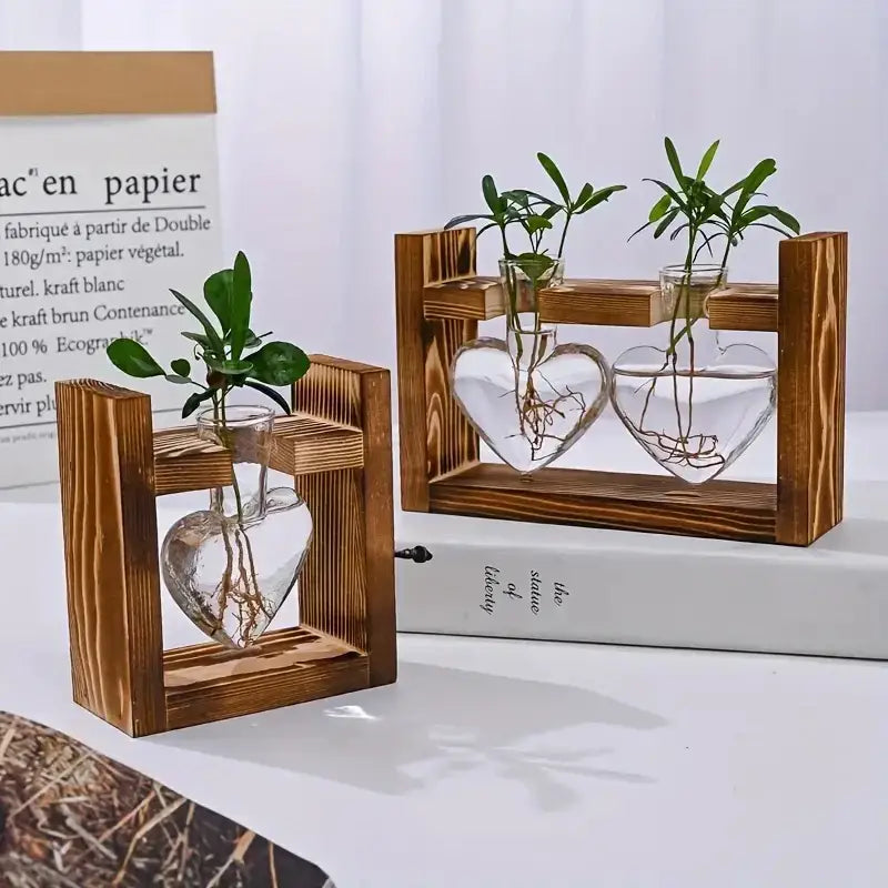 Decorbites™ heart-shaped glass vase terrarium with wooden frame holding green heart hydroponic plant roots