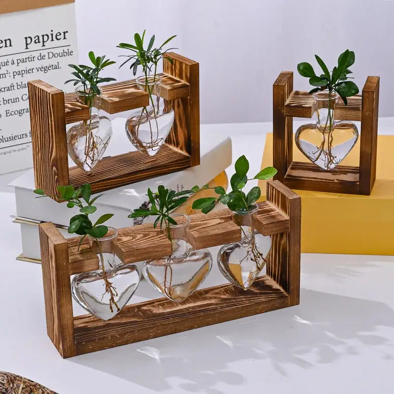 Decorbites™ glass vase terrarium with wooden frame featuring heart hydroponic plant holders with visible roots