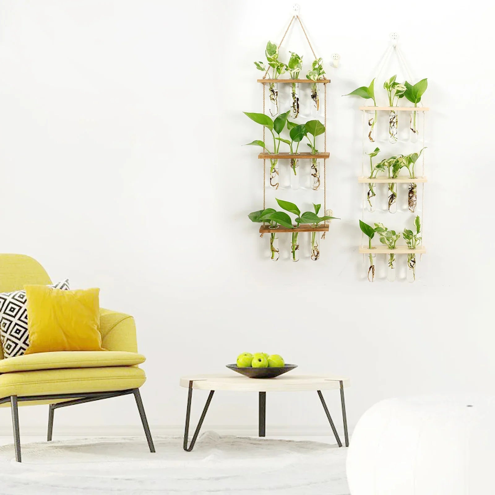 Glass Wall Hanging Planters with Wooden Holder - Vase