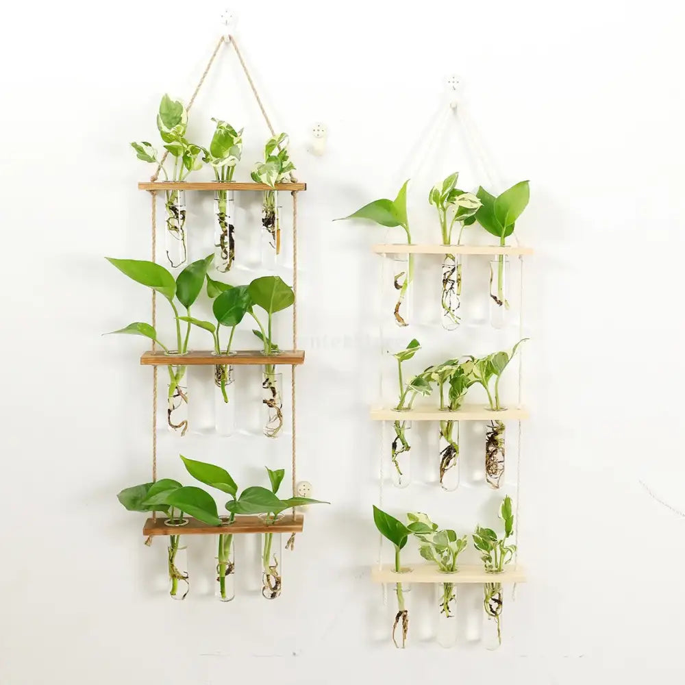 Two decorbites™ glass wall hanging planters with clear test tubes suspended by natural twine on light wooden holders