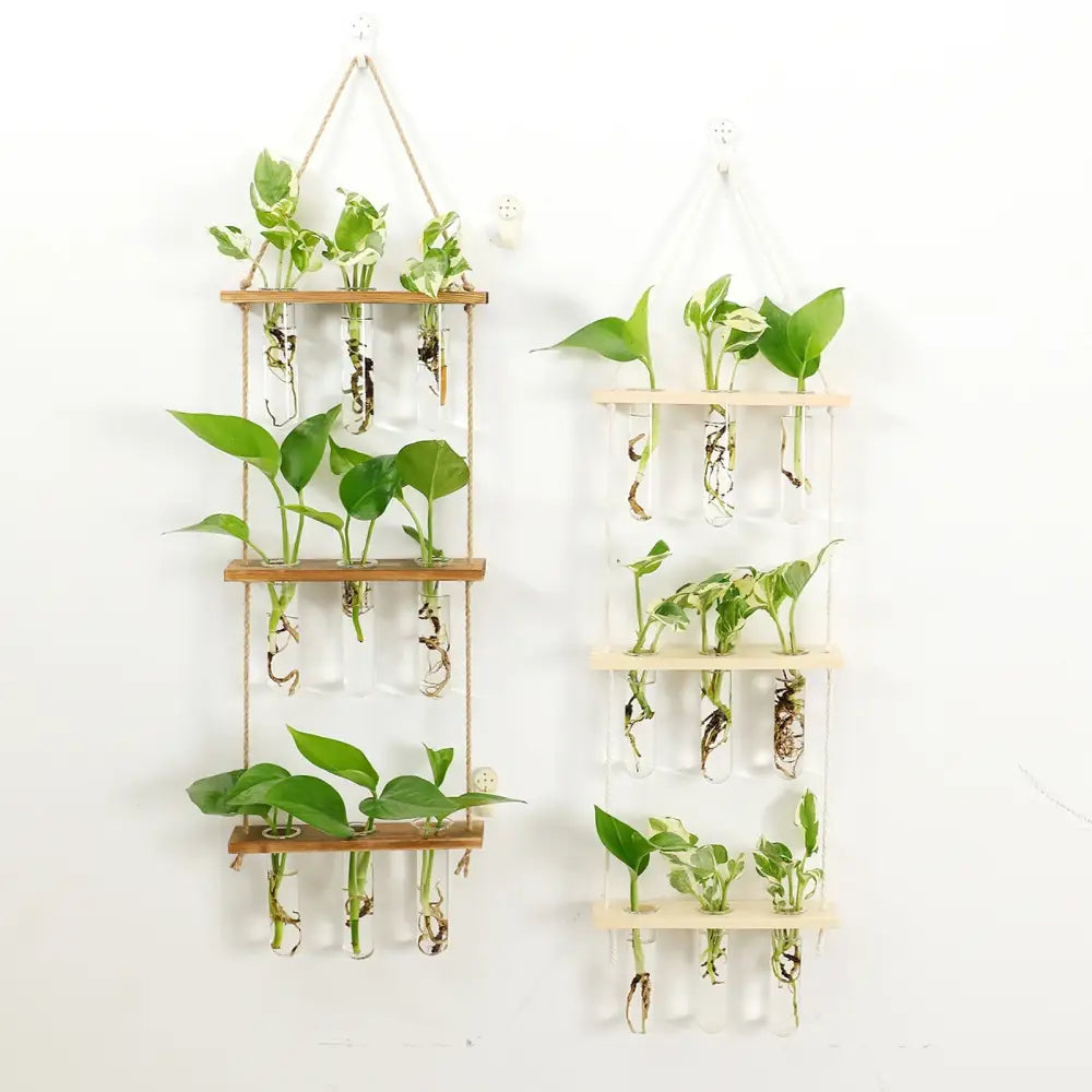 Glass Wall Hanging Planters with Wooden Holder - Vase