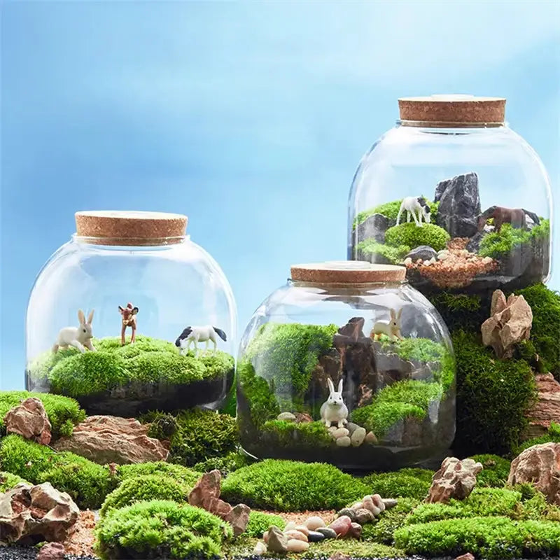 Decorbites™ green moss glass vase terrarium container with clear glass vase cork lids and miniature animal figurines