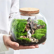 Decorbites green moss glass vase terrarium container with clear glass, cork lid, lush green moss, and white rabbit figurines
