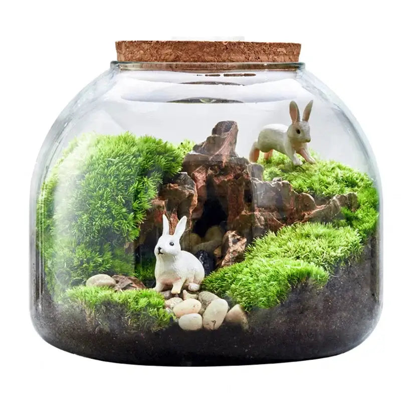 Green Moss Glass Vase Terrarium Container - Vase