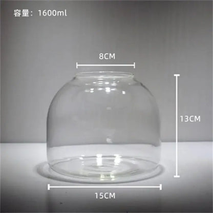 Decorbites™ green moss glass vase terrarium container with clear glass dome 1600ml capacity 8cm top diameter 15cm base diameter