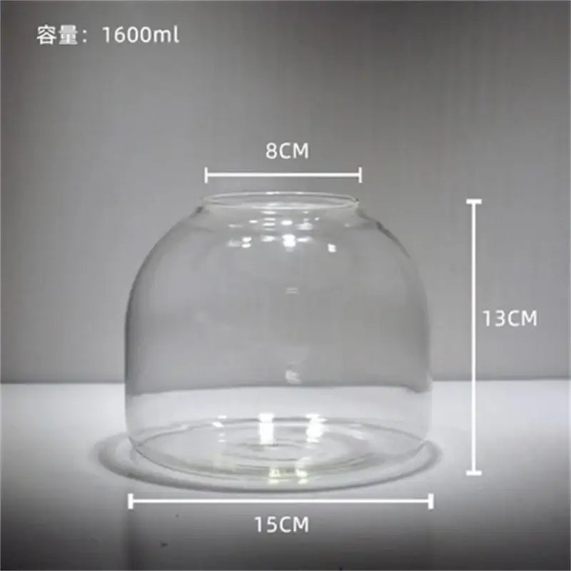 Decorbites™ green moss glass vase terrarium container with clear glass dome 1600ml capacity 8cm top diameter 15cm base diameter