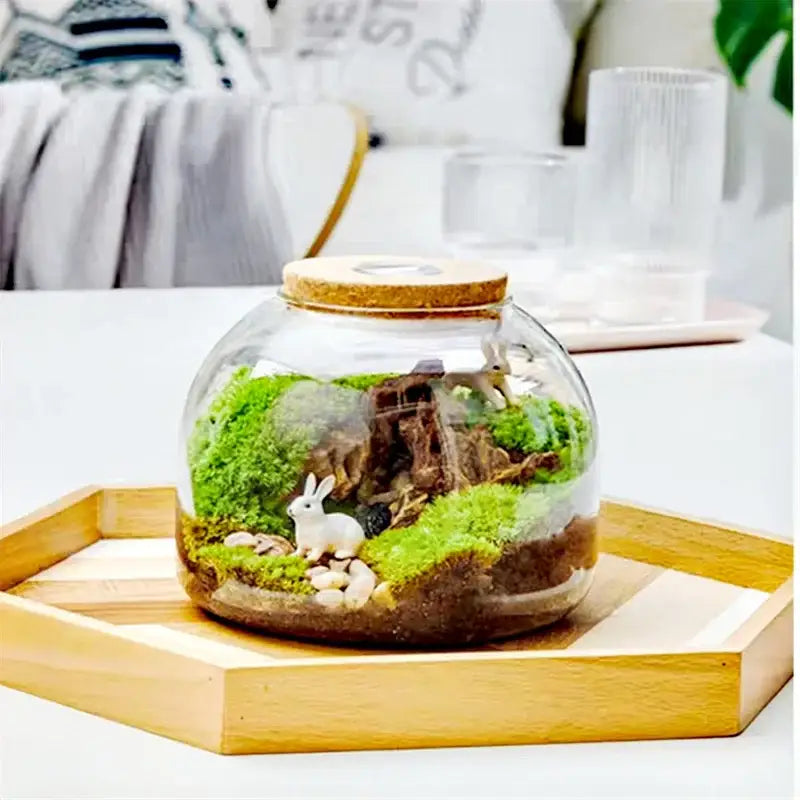 Decorbites™ green moss glass vase terrarium container with cork lid featuring green moss, miniature rocks, and a white rabbit figurine