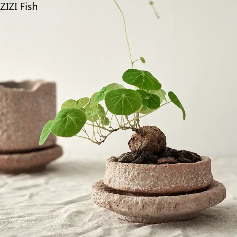 Decorbites™ handcrafted ceramic vase features a rustic terracotta pottery vase with vibrant green potted plant leaves