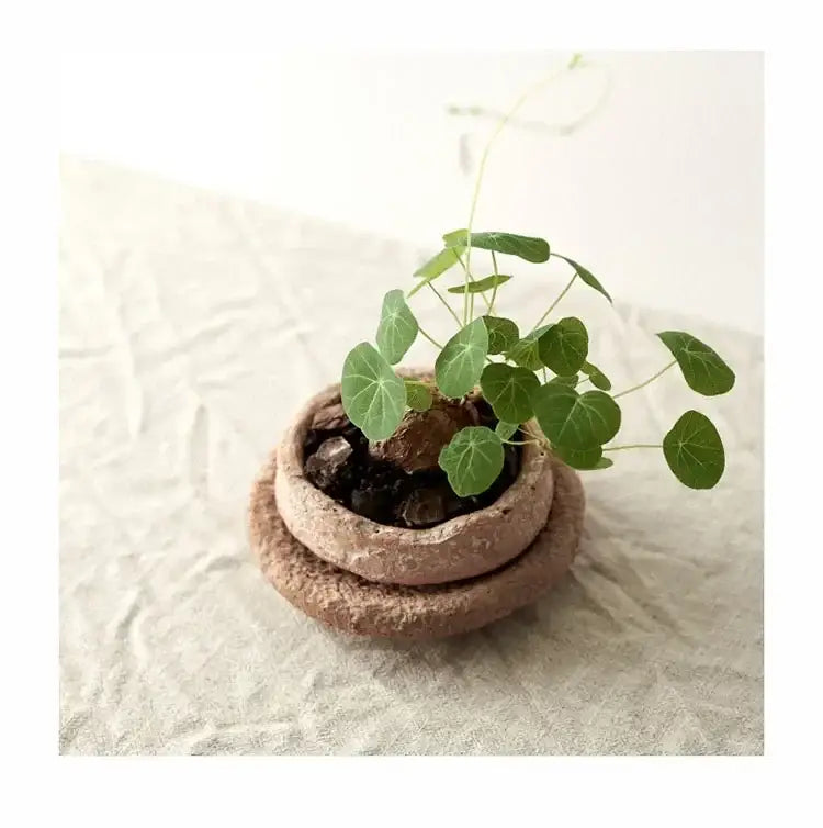 Handcrafted Ceramic Vase for Flowers - Vase