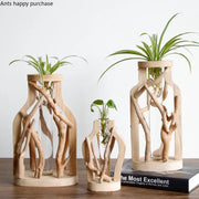 DecorBites™ handcrafted wooden vase features natural driftwood frames with clear glass and green air plants for home decor