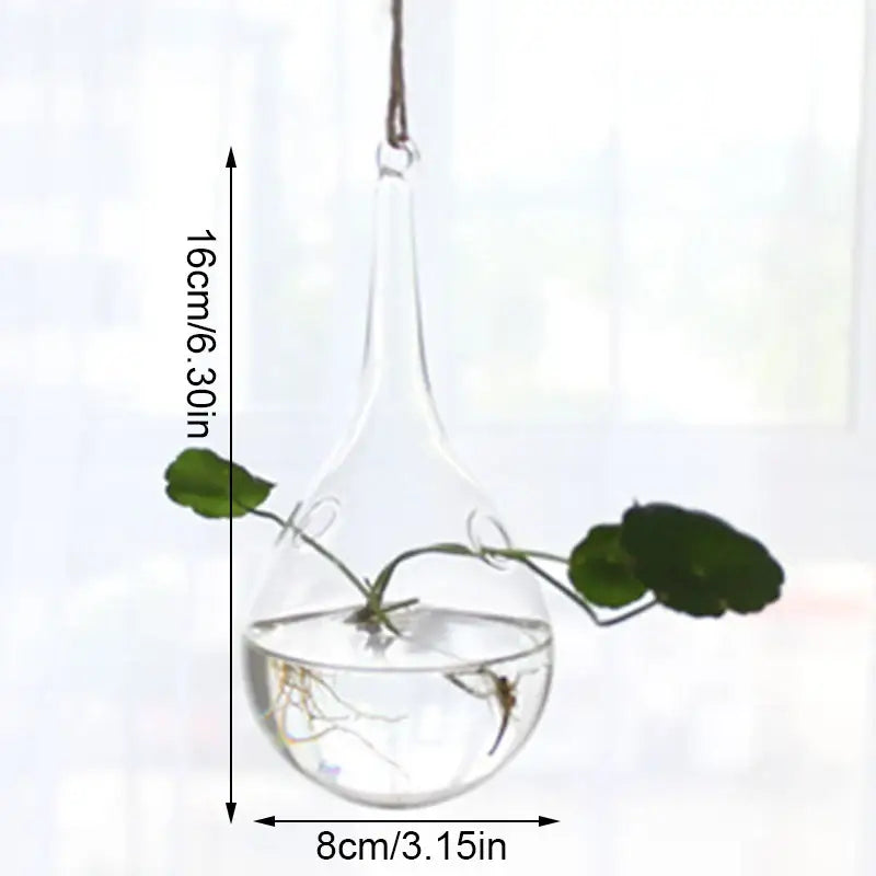 DecorBites™ handmade angel glass vase clear glass terrarium with slender neck rounded base holding green plant stems