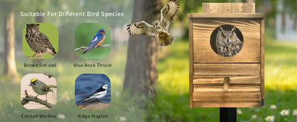 Wooden DecorBites™ handmade screech owl house with circular entrance and horizontal slats for outdoor nesting