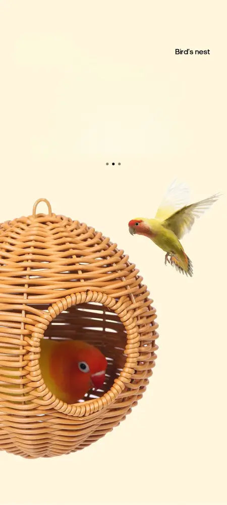 DecorBites handwoven grass bird cage hut made of woven wicker with round entrance and hanging loop for small birds