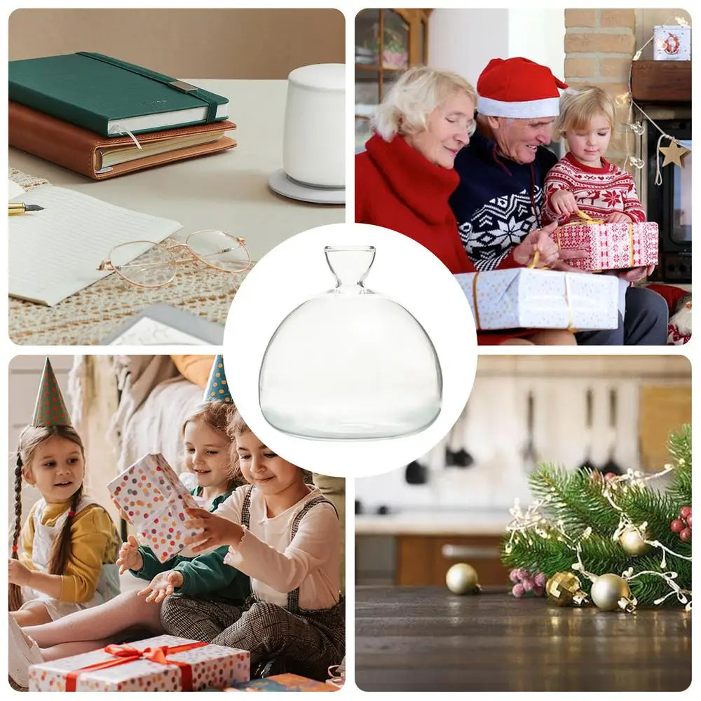 DecorBites™ ’Hydroponic Avocado Seed Cultivation Vase’