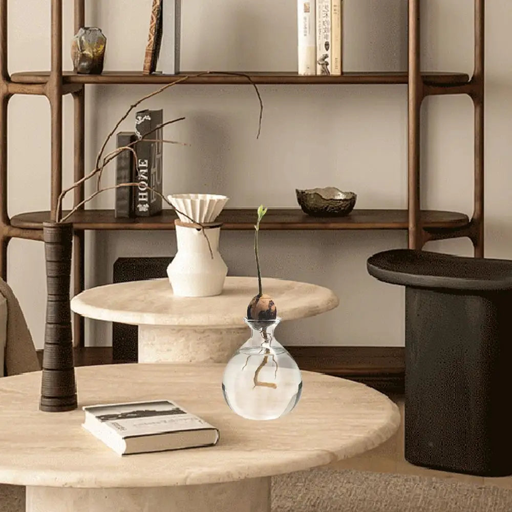DecorBites™ ’Hydroponic Avocado Seed Cultivation Vase’