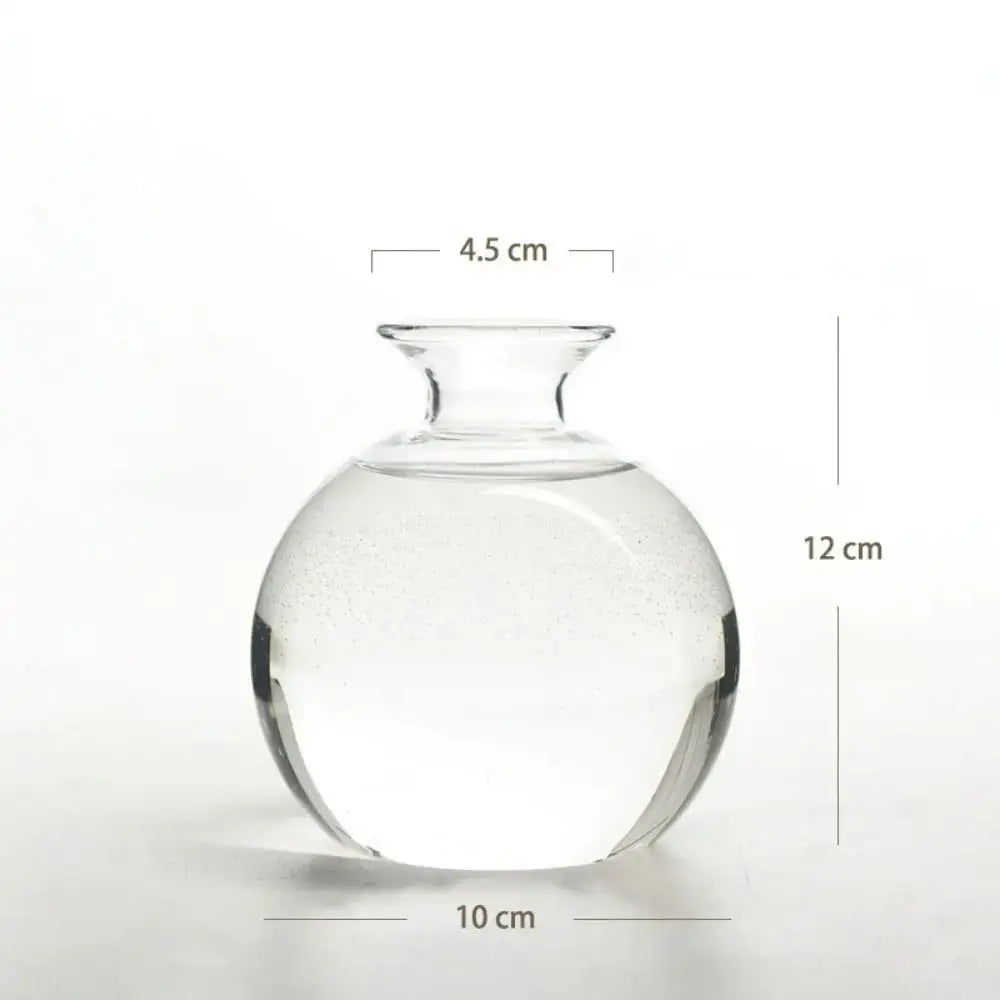 A clear glass vase with a rounded body and narrow neck for the DecorBites™ hydroponic avocado starter kit measuring 12 cm tall