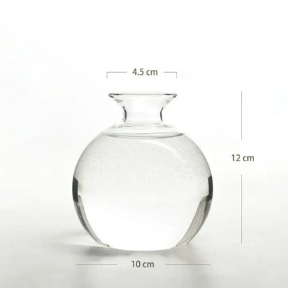 A clear glass vase with a rounded body and narrow neck for the DecorBites™ hydroponic avocado starter kit measuring 12 cm tall