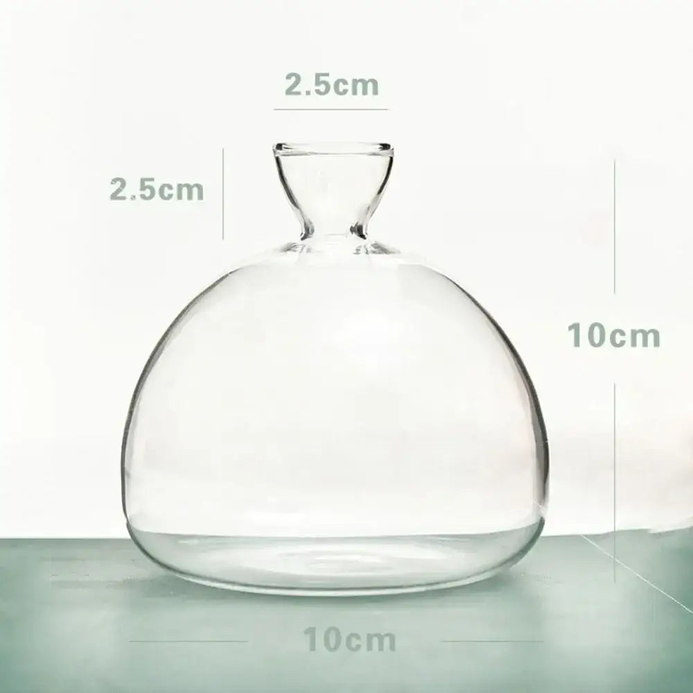 Clear glass vase with rounded bulbous body and narrow neck for DecorBites hydroponic avocado starter kit gift-ready