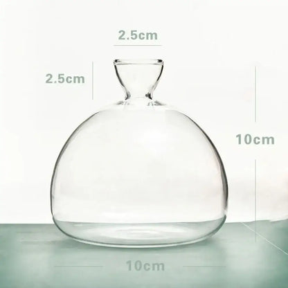 Clear glass vase with rounded bulbous body and narrow neck for DecorBites hydroponic avocado starter kit gift-ready