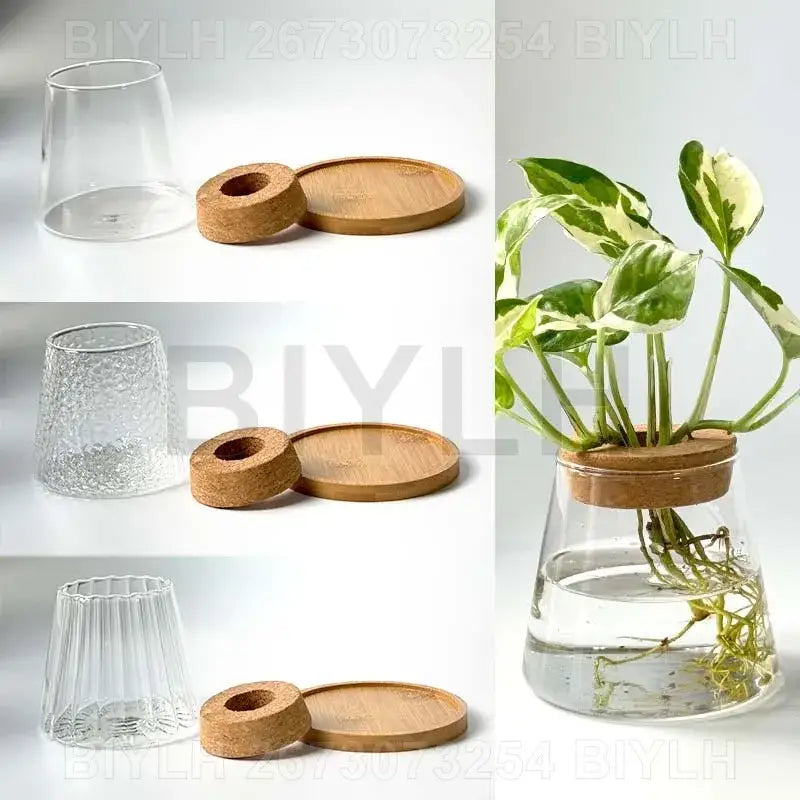 DecorBites hydroponic glass flower pots set of 2 clear glass flower pots with textured fluted design and cork lids
